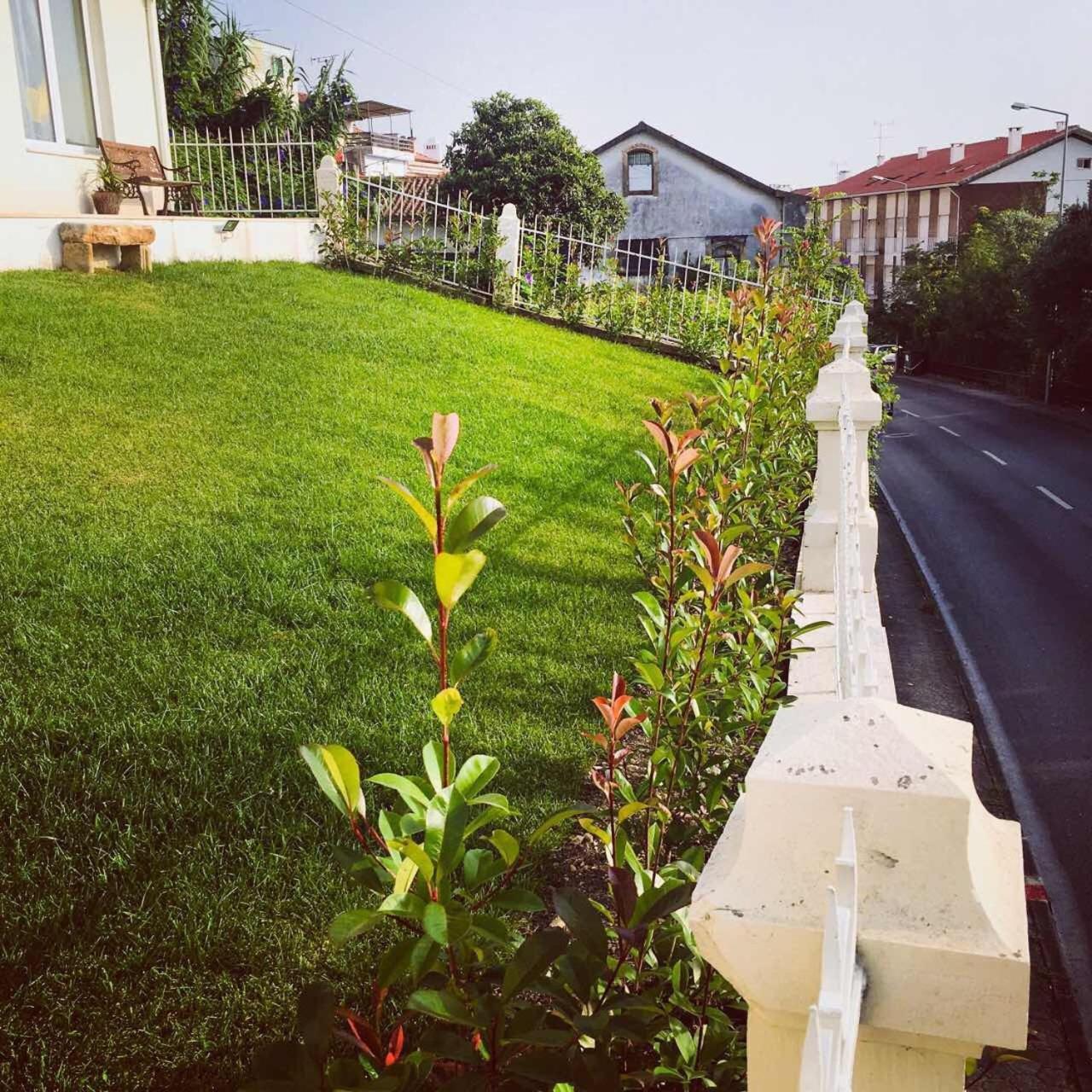 Coimbraameias Zewnętrze zdjęcie